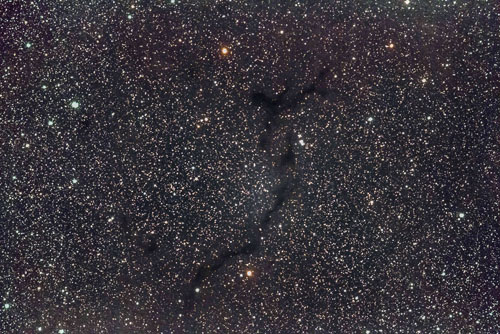B150 - Seahorse Dark Nebula