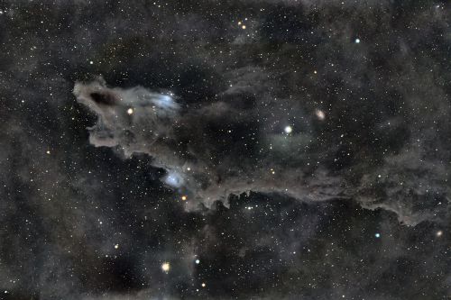 LDN1235 - Dark Shark Nebula