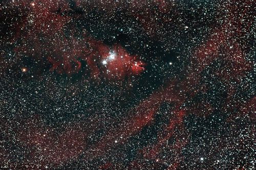 LDN1613 - Cone Nebula